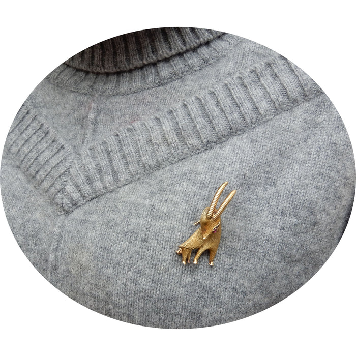 Broche, Robijn, Steenbok, 18K