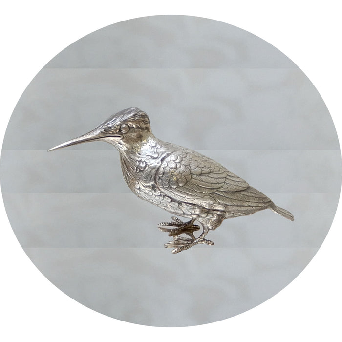 Zilveren IJsvogel, Groot