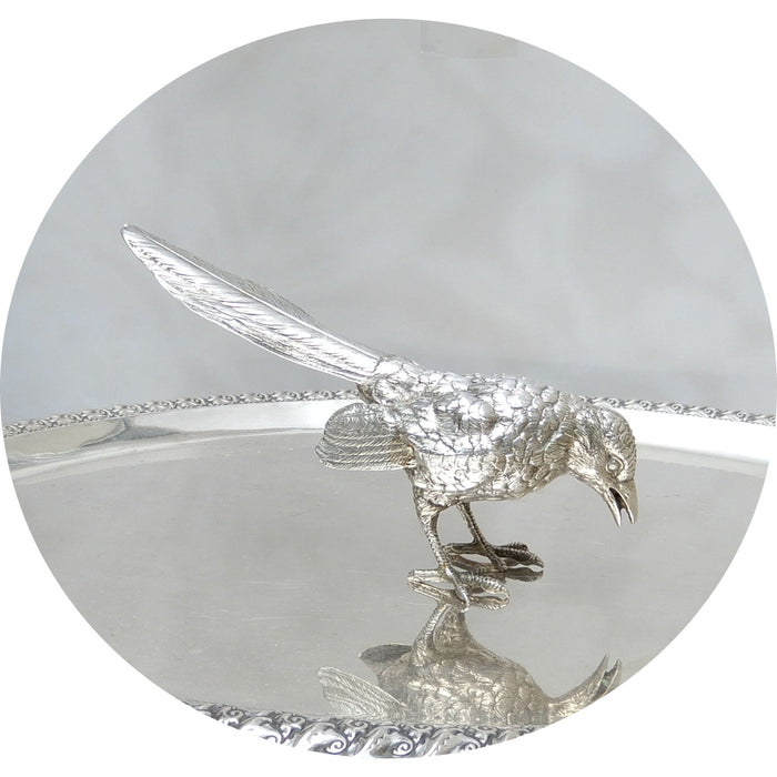 Zilveren Ekster, Groot