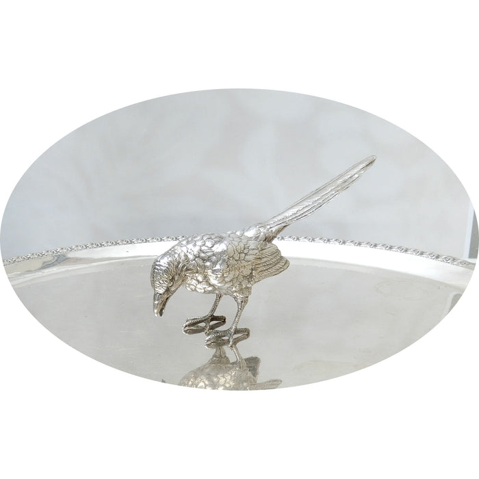 Zilveren Ekster, Groot